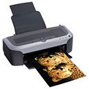 Epson Stylus Photo 2100