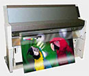 Epson StylusPro 9000